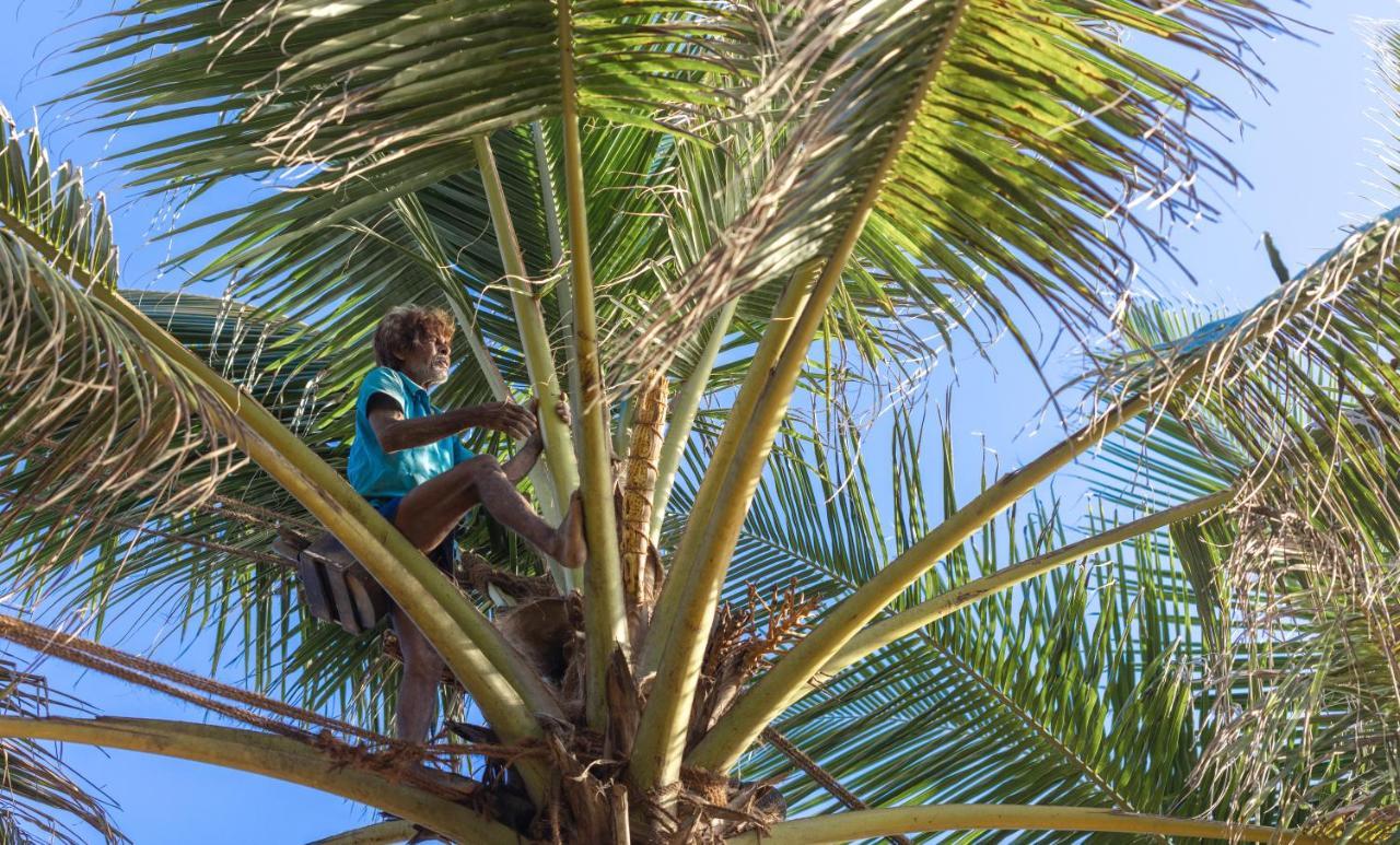 Ayana Sea Hotel Wadduwa Buitenkant foto